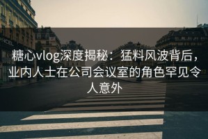 糖心vlog深度揭秘：猛料风波背后，业内人士在公司会议室的角色罕见令人意外