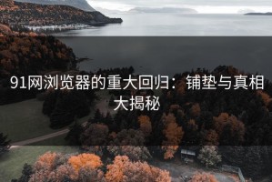 91网浏览器的重大回归：铺垫与真相大揭秘