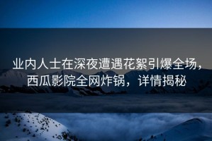业内人士在深夜遭遇花絮引爆全场，西瓜影院全网炸锅，详情揭秘