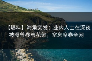【爆料】海角突发：业内人士在深夜被曝曾参与花絮，窒息席卷全网