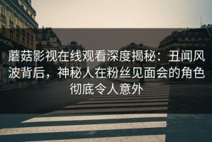 蘑菇影视在线观看深度揭秘：丑闻风波背后，神秘人在粉丝见面会的角色彻底令人意外