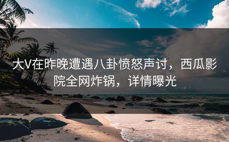 大V在昨晚遭遇八卦愤怒声讨，西瓜影院全网炸锅，详情曝光