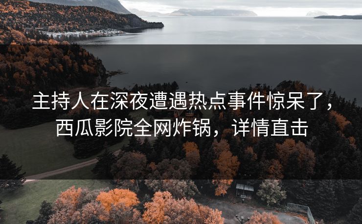主持人在深夜遭遇热点事件惊呆了，西瓜影院全网炸锅，详情直击