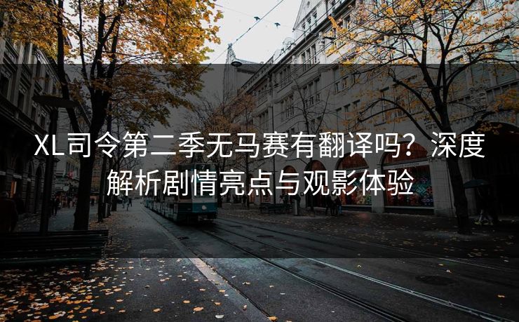XL司令第二季无马赛有翻译吗？深度解析剧情亮点与观影体验