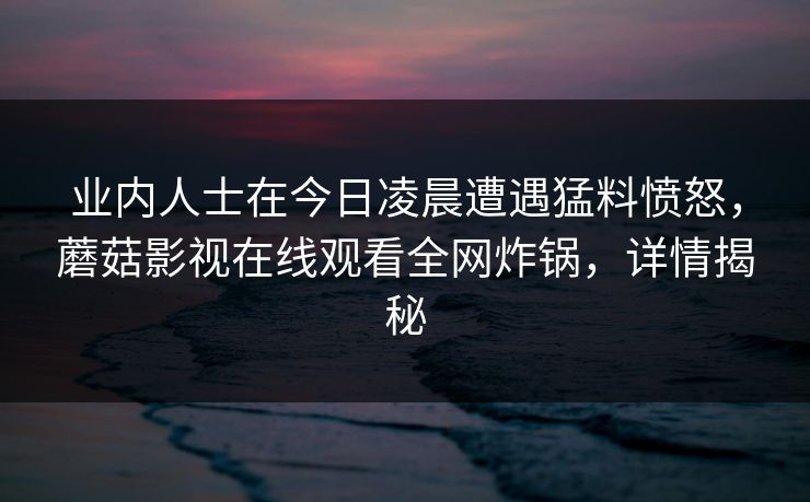 业内人士在今日凌晨遭遇猛料愤怒，蘑菇影视在线观看全网炸锅，详情揭秘